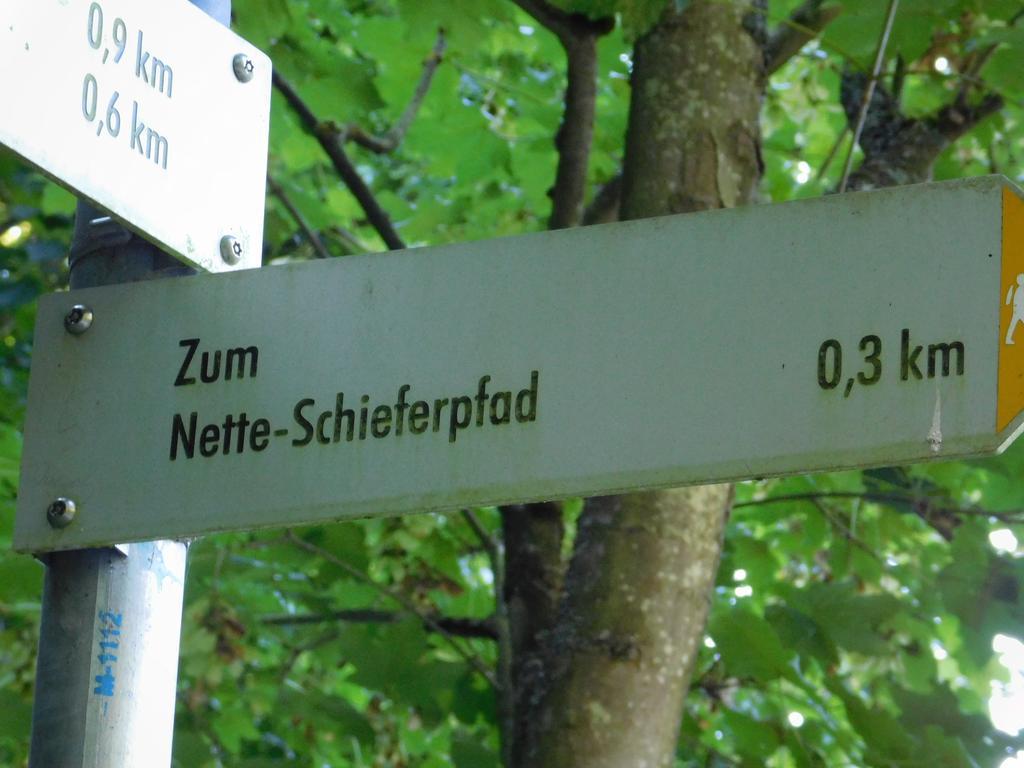 Ferienwohnung Schmitz Welling Luaran gambar